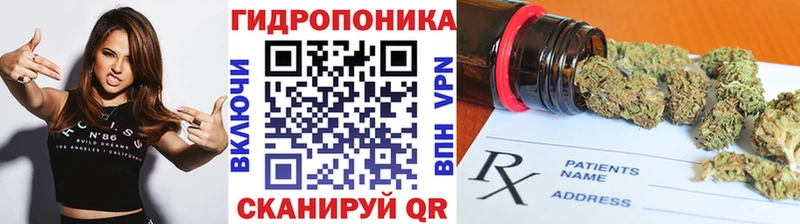 купить наркотик  Альметьевск  Конопля гибрид 